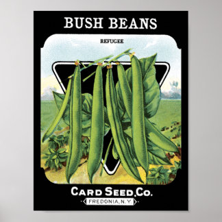 Bush Beans Card Seed CoPäckchen Vintag Fredonia Poster