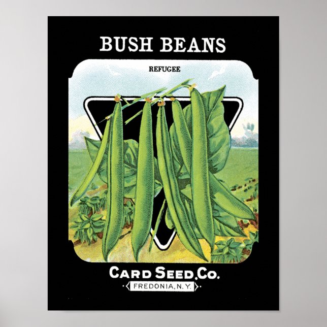 Bush Beans Seed Packet Label Poster (Vorne)