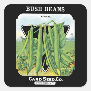 Bush Beans Seed Packet Label Quadratischer Aufkleber