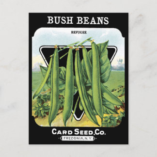 Bush Boans Seed Pack Gemüse Garten schwarz NY Postkarte