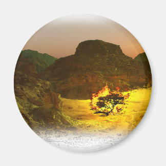 Bush brennen 1 magnet