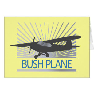 Bush Flugzeug