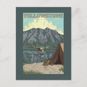 Bush Flugzeug & Fischerei - Yellowstone National Postkarte
