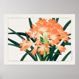 Bush Lily, Clivia miniata, Blume, Tanigami Kona, Poster