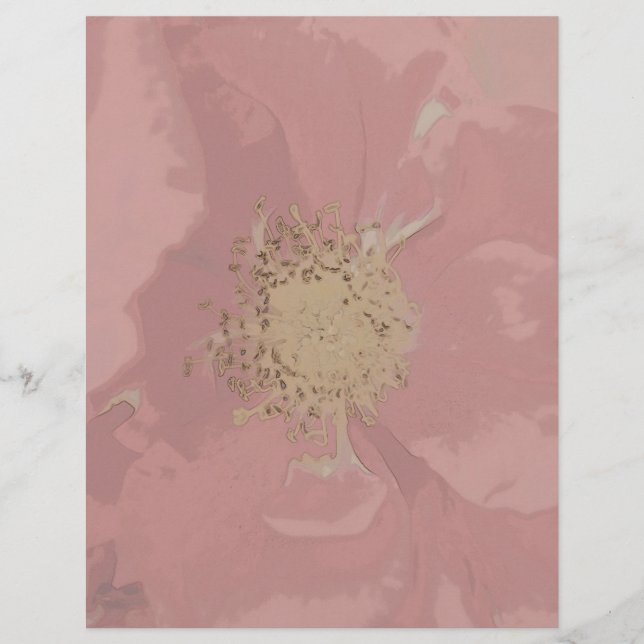 Bush Rose DullPastel (Vorderseite)