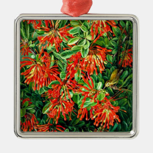 Bush und Emu Wren des Chilen verbrannt Ornament Aus Metall