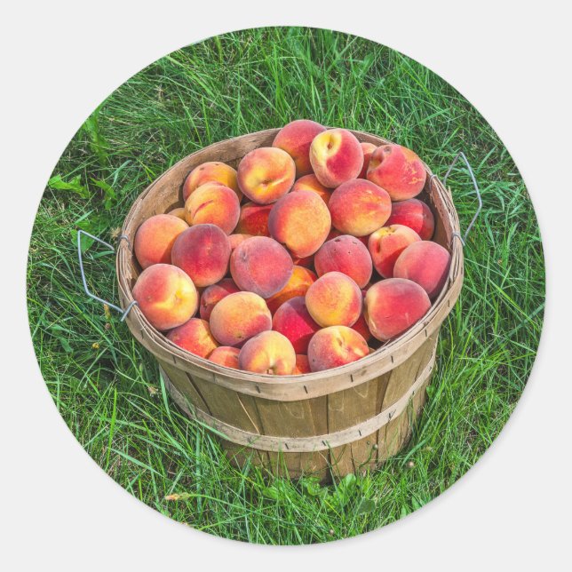 Bushel Basket of Fresh Peaches Runder Aufkleber (Vorderseite)