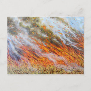 Bushfire Inferno 2014 Postkarte