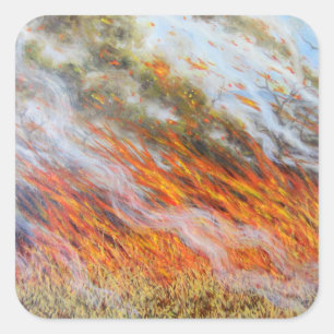 Bushfire Inferno 2014 Quadratischer Aufkleber