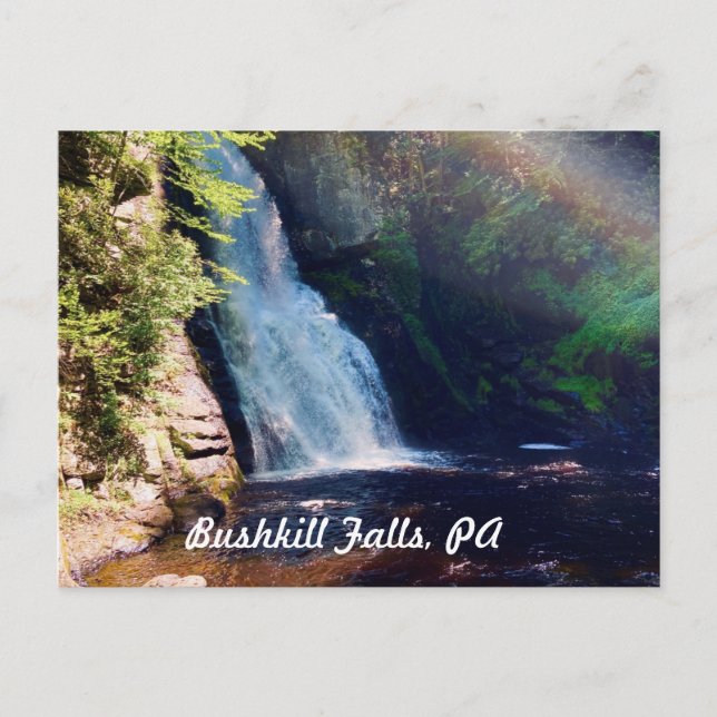 Bushkill Falls, PA Postcard Postkarte (Vorderseite)