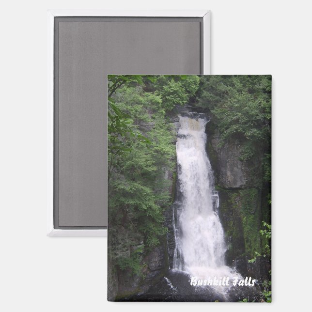 Bushkill Falls Rectangle Magnet (Vorderseite/Rückseite)