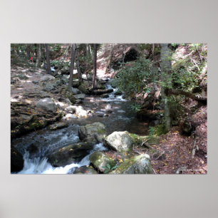 Bushkill Fluss im Poconos. Druck 0086 Poster