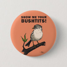 Bushtit
