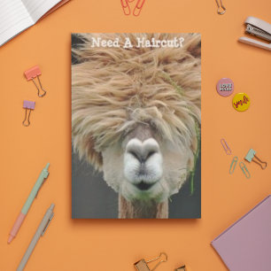 Bushy Hair Brown Llama Hair Stylist Postkarte