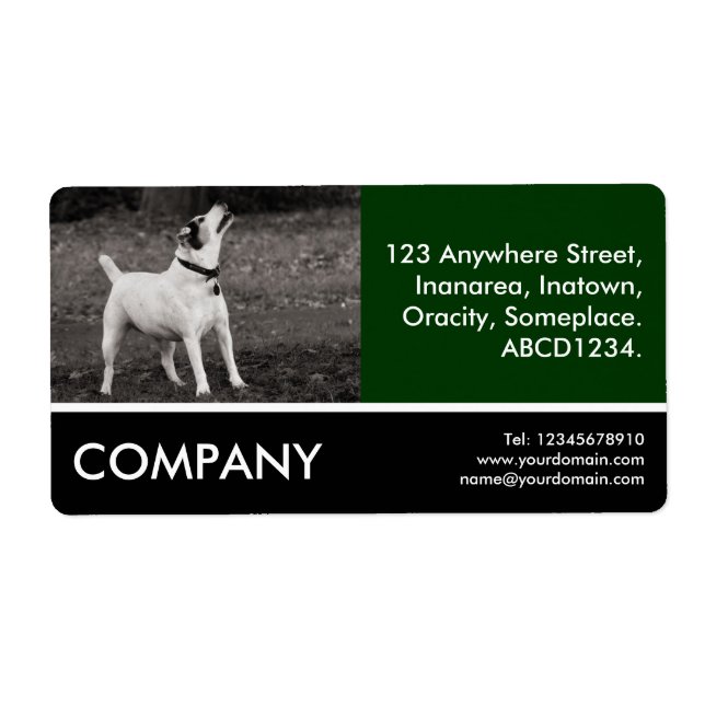 Business Foto - Dog Agog (Vorne)
