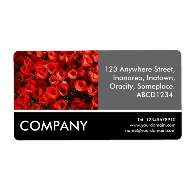 Business Foto - Rote Tulips (Vorne)