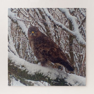 Bussard auf schneebedecktem Ast Winterliche Waldla Puzzle