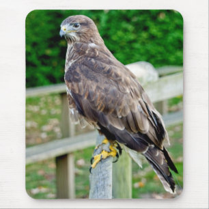 BUSSARD-MÄUSEmatte Mousepad