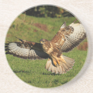 Bussard-Untersetzer Untersetzer