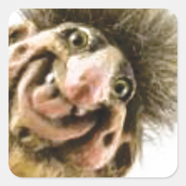 Busta Troll Quadratischer Aufkleber (Vorderseite)