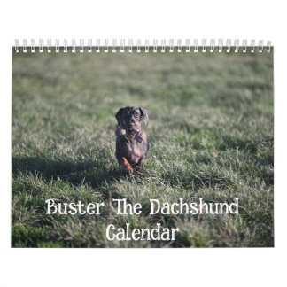 Buster der Dachshund Kalender