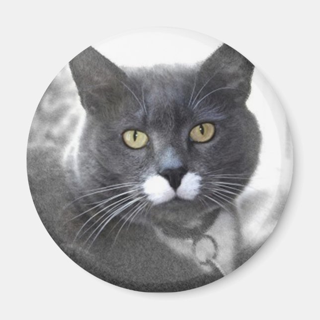BUSTER MAGNET (Vorne)