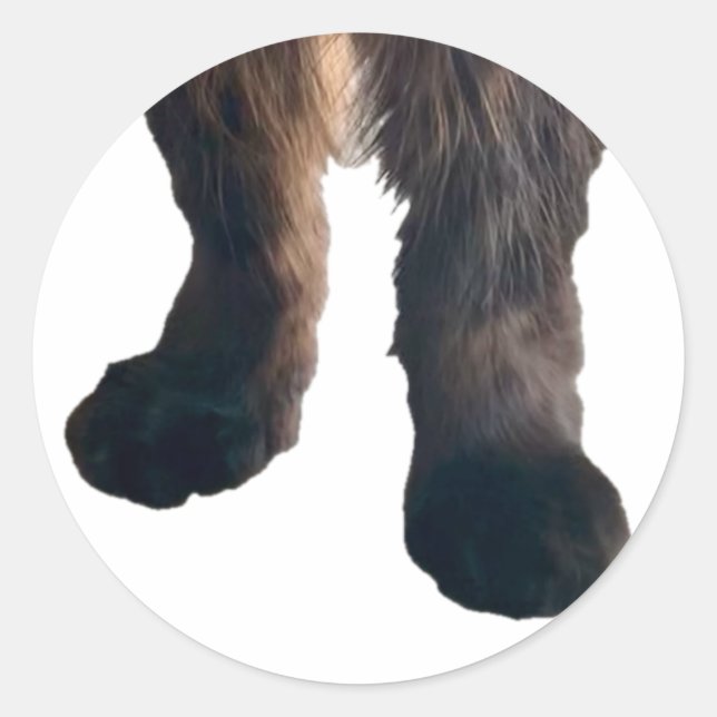 Buster Sticker - Füße! (Vorderseite)