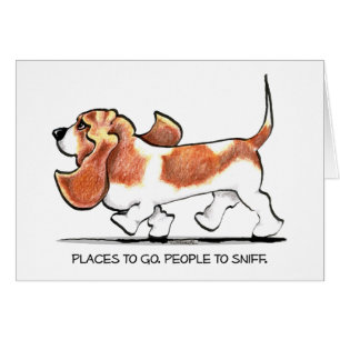 Busy Basset Hound