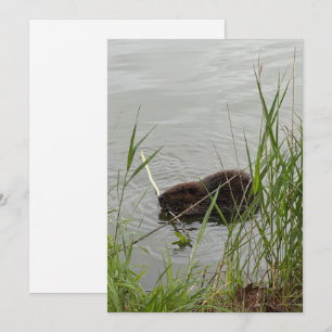 Busy Beaver Feiertagskarte