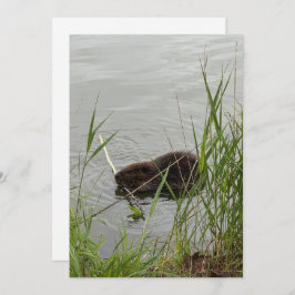 Busy Beaver Feiertagskarte