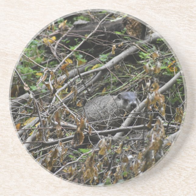 Busy Beaver Getränkeuntersetzer (Vorne)