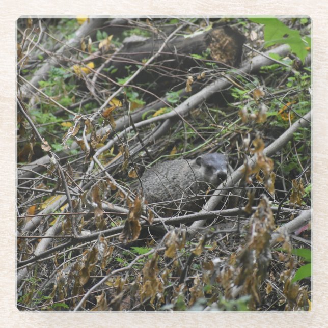 Busy Beaver Glasuntersetzer (Vorderseite)