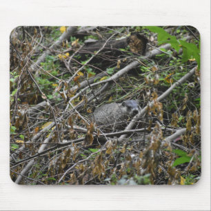 Busy Beaver Mousepad