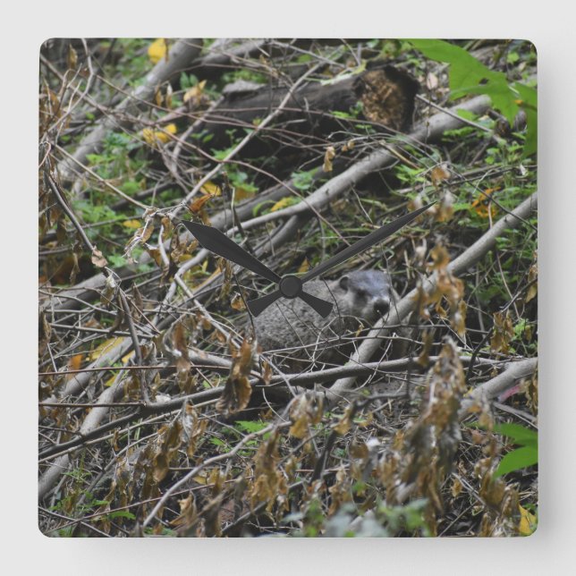 Busy Beaver Quadratische Wanduhr (Vorderseite)