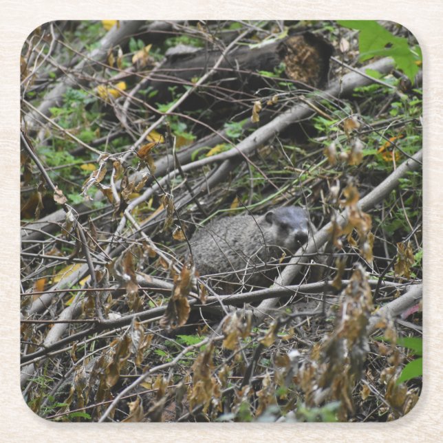 Busy Beaver Rechteckiger Pappuntersetzer