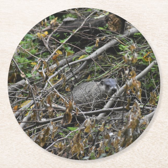 Busy Beaver Runder Pappuntersetzer (Vorderseite)
