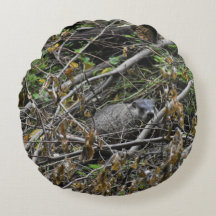 Busy Beaver