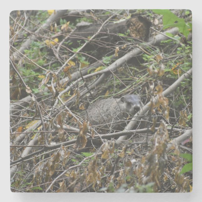 Busy Beaver Steinuntersetzer (Vorderseite)