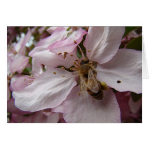 Busy Bee