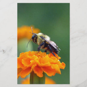 Busy Bee Briefpapier
