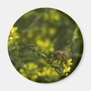 Busy Bee Magnet