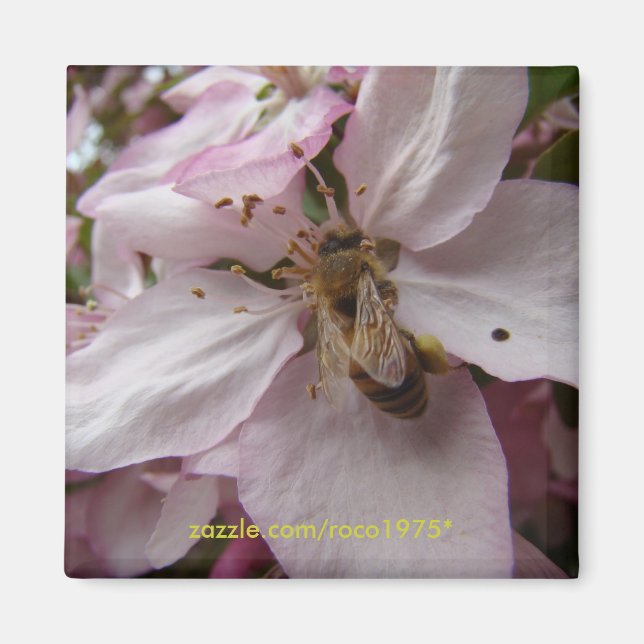 Busy Bee Magnet (Vorne)