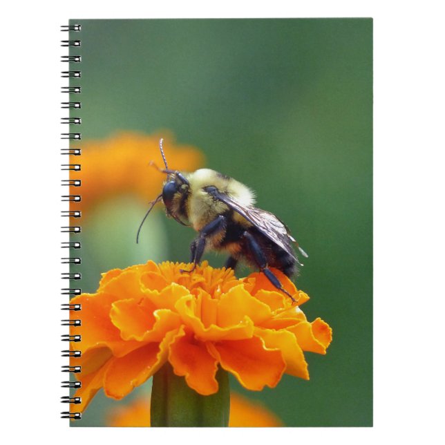 Busy Bee Notizblock (Vorderseite)