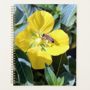 Busy Bee Planer