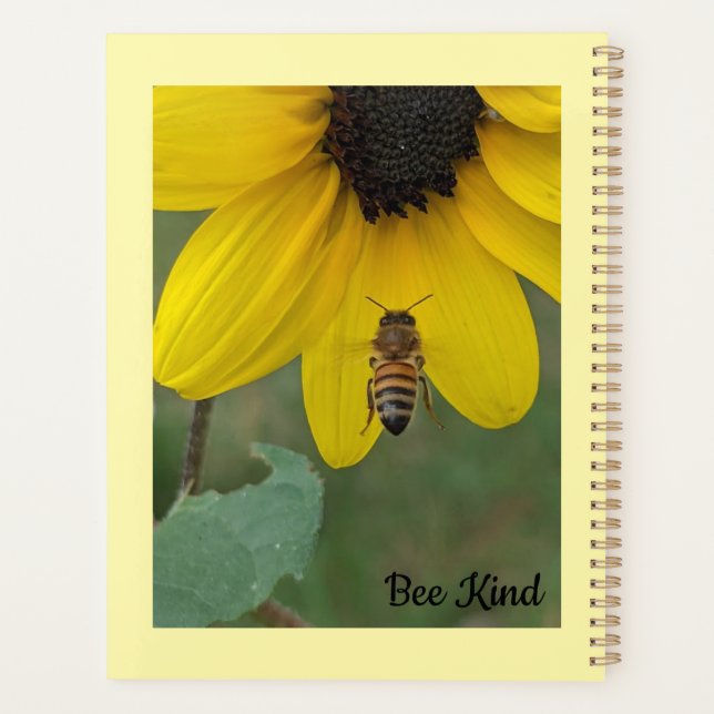 Busy Bee Planer (Rückseite)