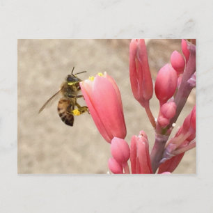 Busy Bee Postkarte