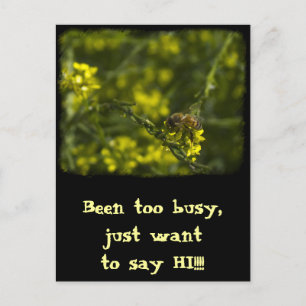 Busy Bee Postkarte