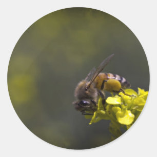 Busy Bee Runder Aufkleber