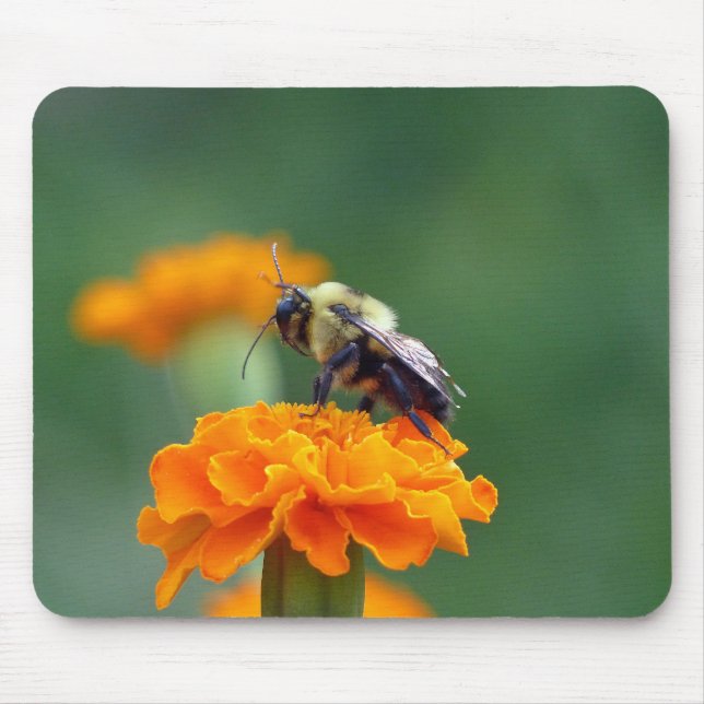Busy Bumble Bee Mousepad (Vorne)
