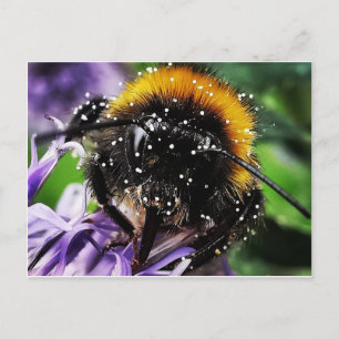 Busy Bumble Bee Postkarte